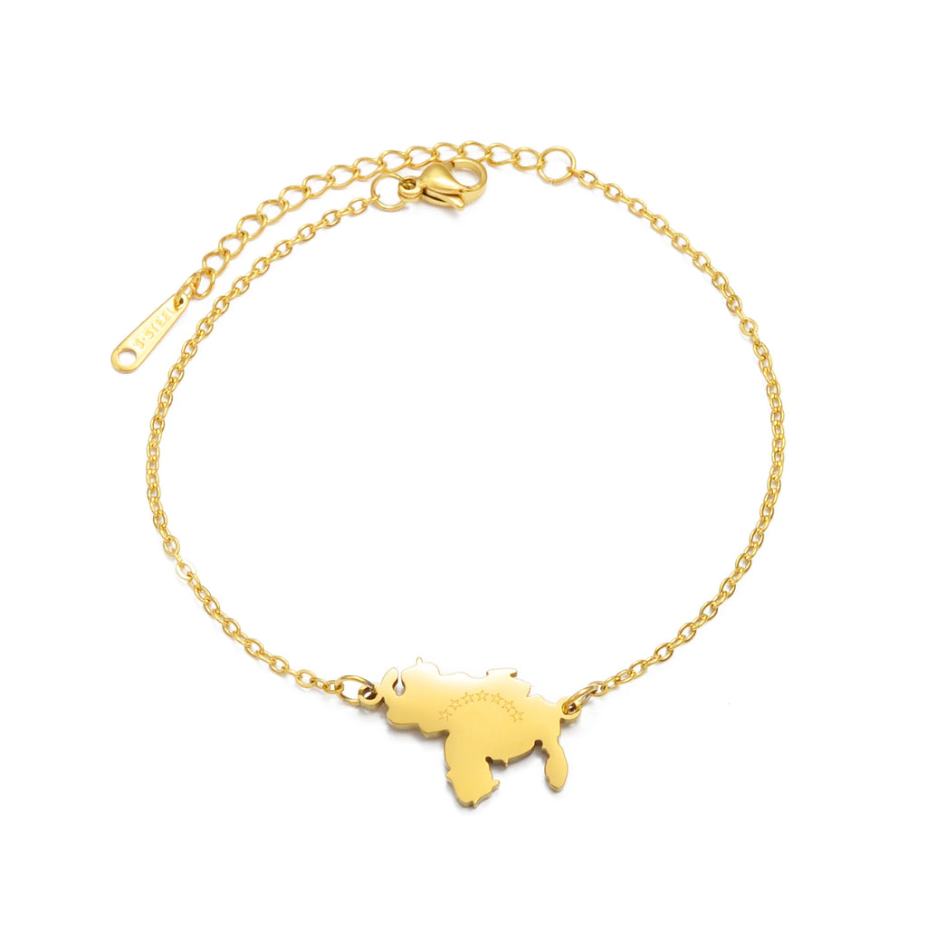 Anniyo 18CM + 4CM Venezuela Map Bracelet for Women Stainless Steel Jewelry Bangle @315821