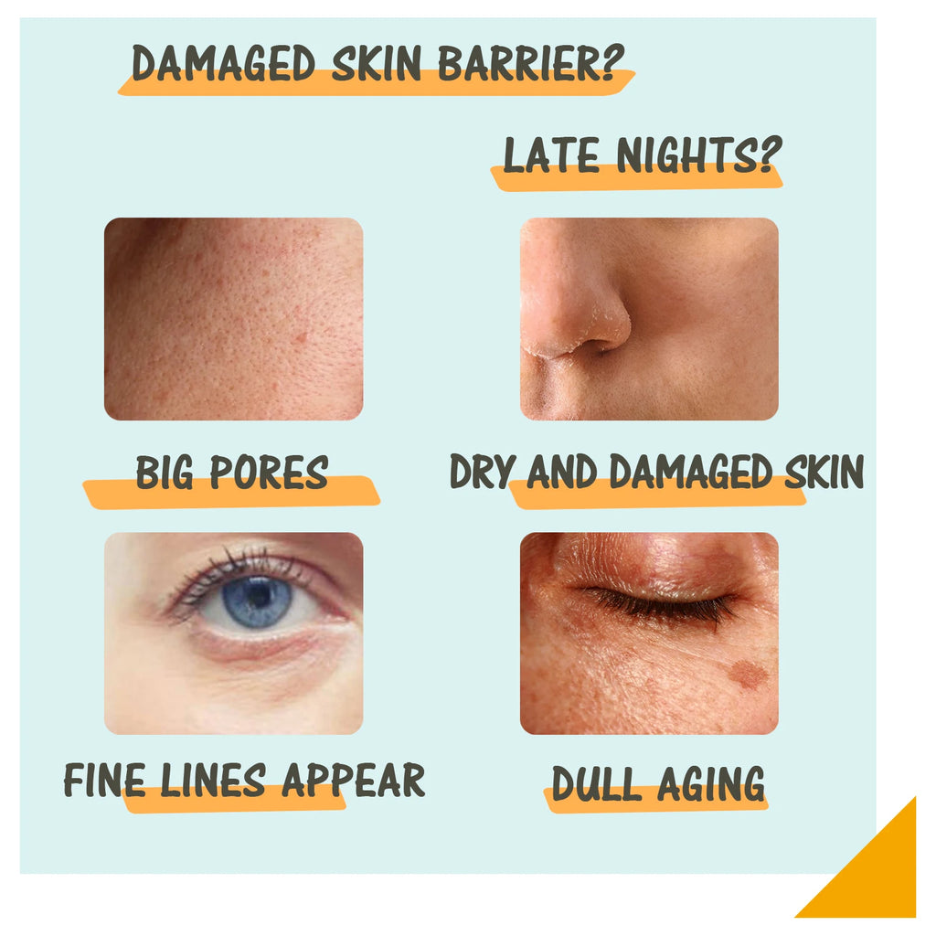 Day Night Vitamin C Retinol Serum Set, Anti-Aging Firming & Brightening Duo, Hydrating Skin Care Combo