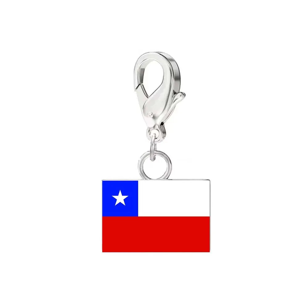 Custom DIY Small National Country Flag Charms Bracelet For Woman Men Personalized Stainless Steel Father Mother Day Gift Jewelry
